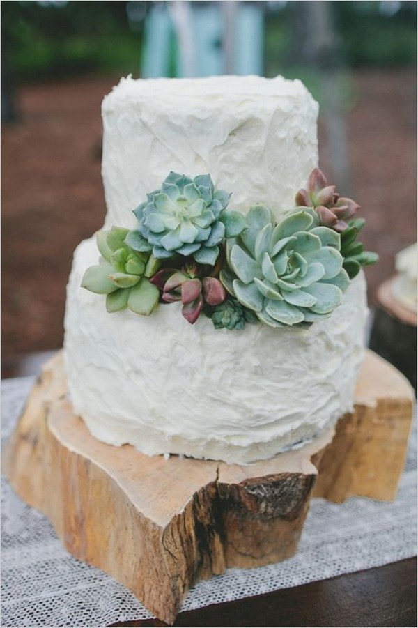 rustic wedding cake with succulents