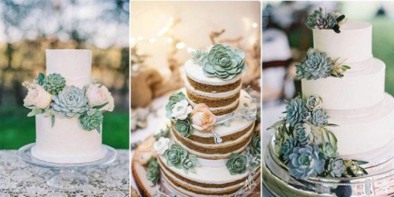 succulent wedding cakes