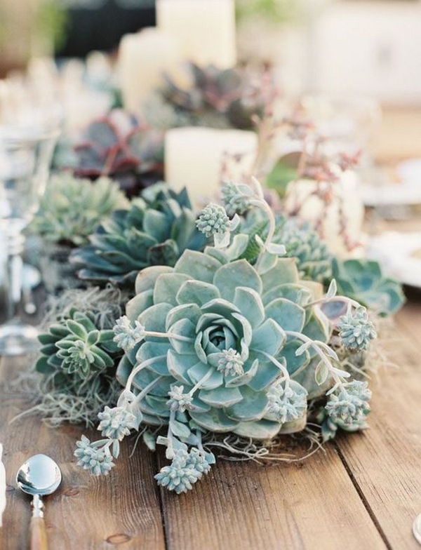 eye-popping spring wedding centerpieces with succulent