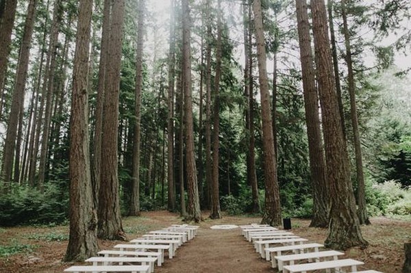 woodland wedding ceremony ideas in the forest