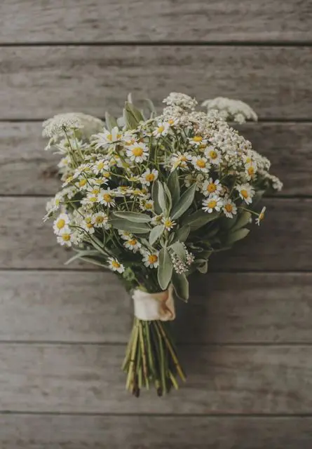 Effortless Ideas To Use Chamomile Daisy In Your Wedding 1