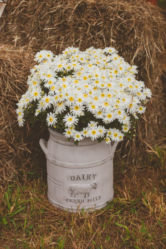 Effortless Ideas To Use Chamomile Daisy In Your Wedding 12