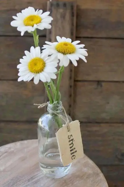 Effortless Ideas To Use Chamomile Daisy In Your Wedding 14