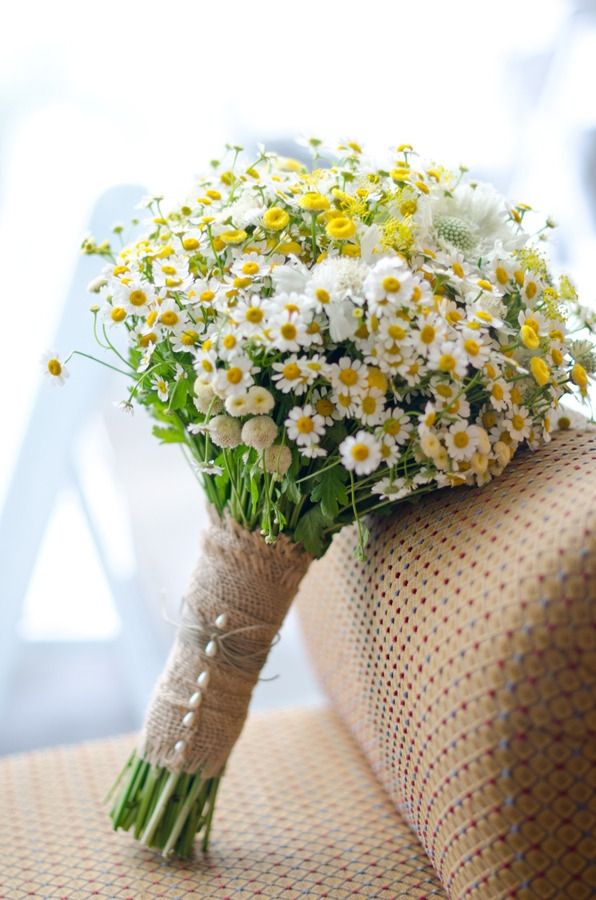 Effortless Ideas To Use Chamomile Daisy In Your Wedding 2