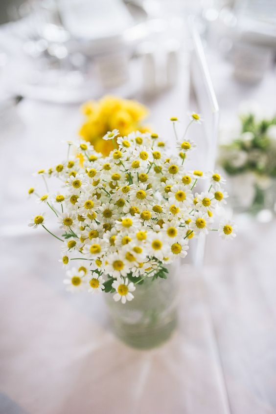 Effortless Ideas To Use Chamomile Daisy In Your Wedding 21