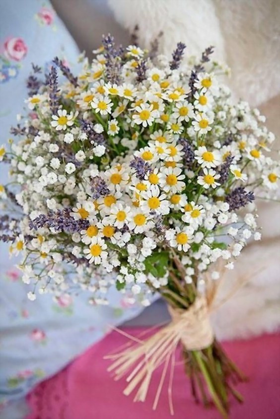 Effortless Ideas To Use Chamomile Daisy In Your Wedding 6