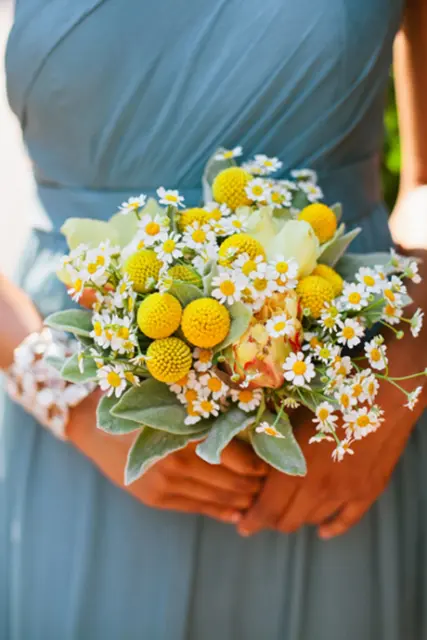 Effortless Ideas To Use Chamomile Daisy In Your Wedding 6