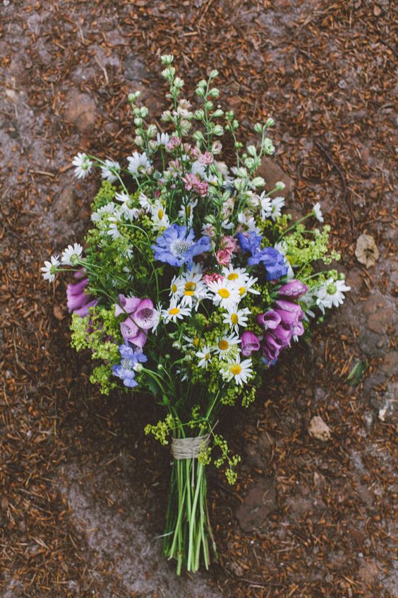 Effortless Ideas To Use Chamomile Daisy In Your Wedding 9
