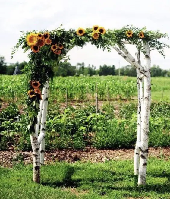 a summer rustic wedding arch of birch branches greenery and sunflowers is a fun and bold idea to rock and you can DIY it
