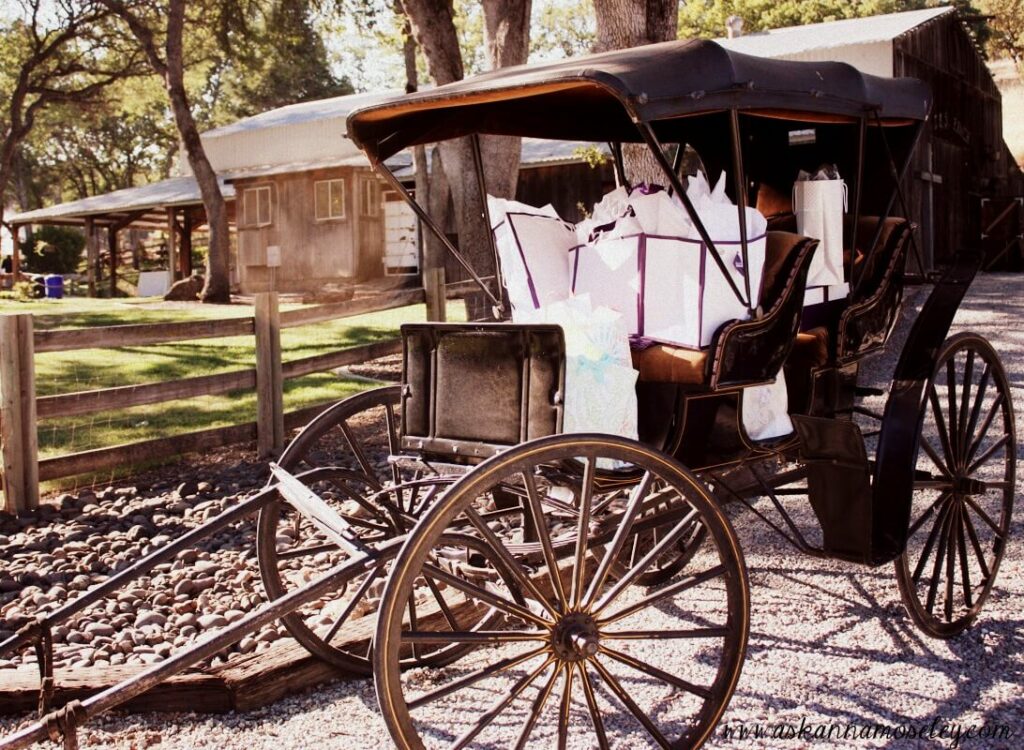 The best idea for a country wedding in a rustic setting is a carriage for the gifts.
