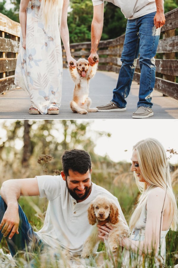 Get a full flow of happiness and love during a beautiful engagement session with your beloved pet partner