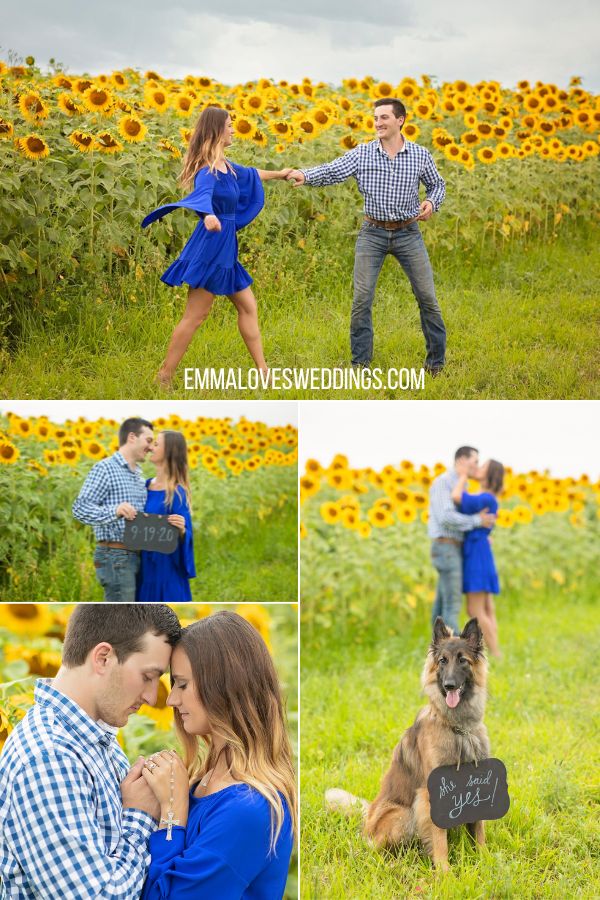 Shine in your engagement shots with a magnificent blue dress with a stunning sunflower backdrop and greenery