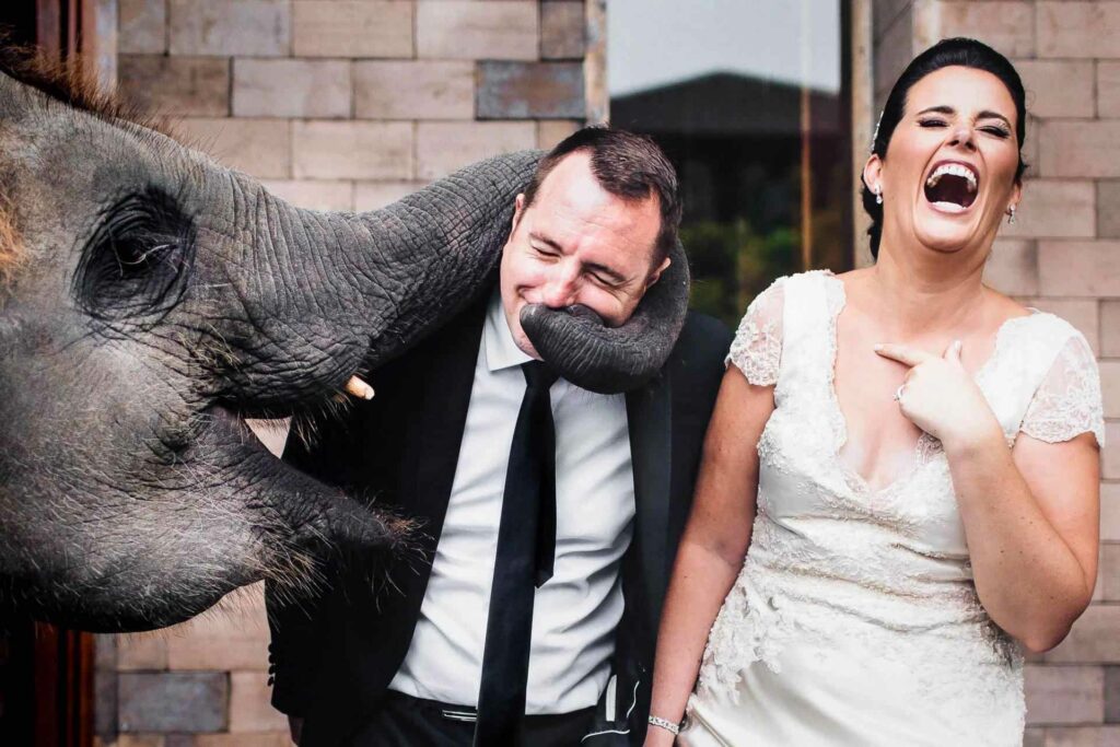 The best wedding photography captures the magical moment when the bride and groom share a heartfelt laugh