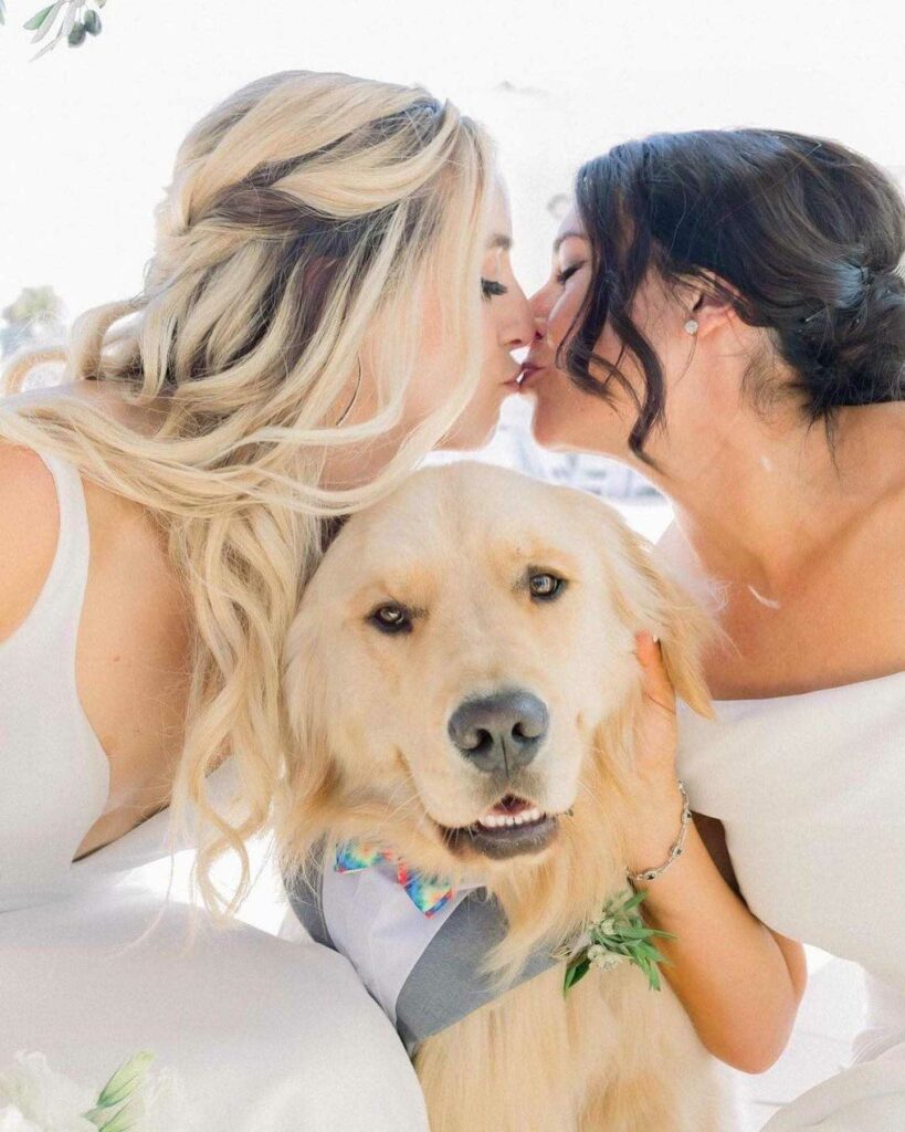 picture perfect lesbian wedding moment with cute dog