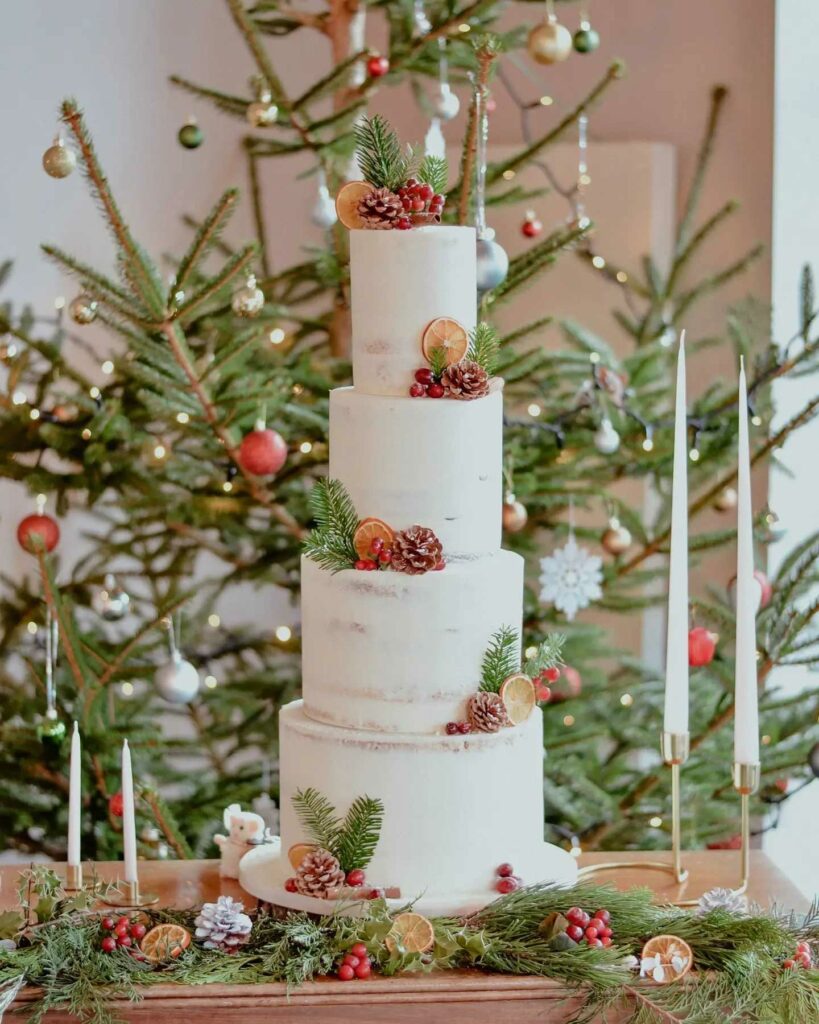 Tiered winter yuletide wedding cake with natural elements