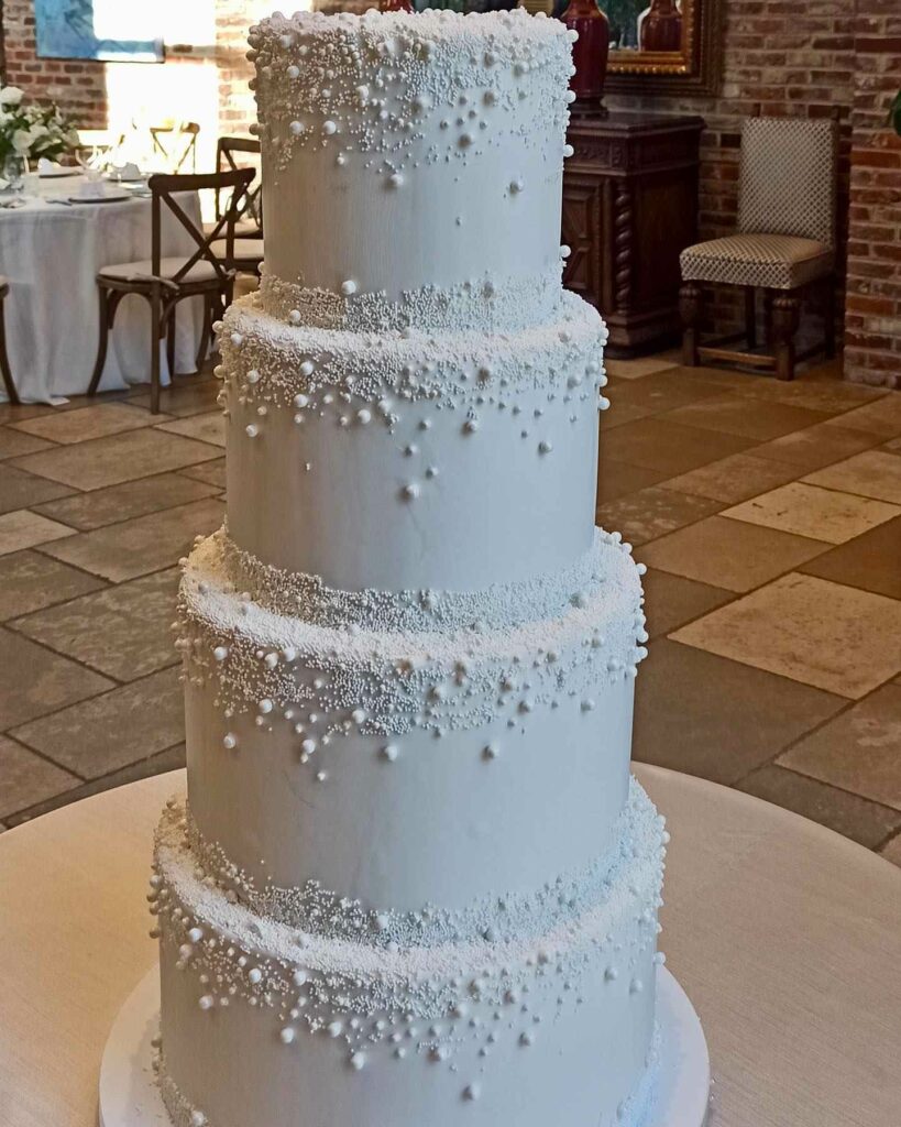 snow dusted winter frosted wedding cake