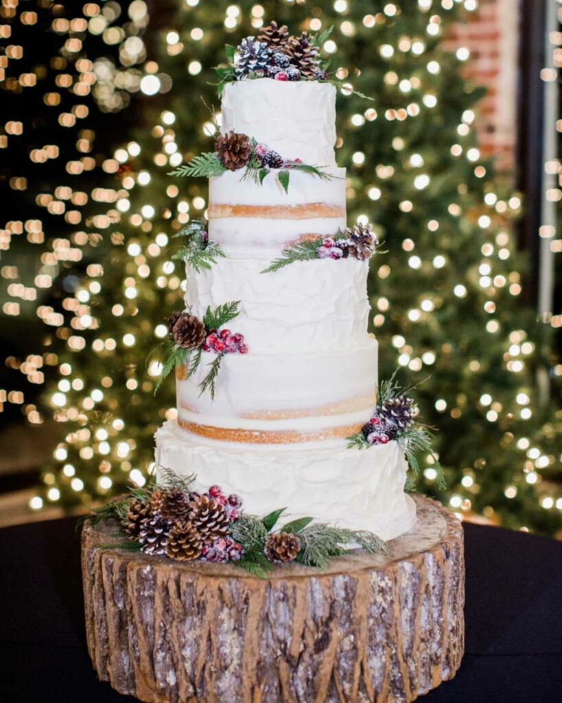 textured buttercream rustic winter semi naked wedding cake