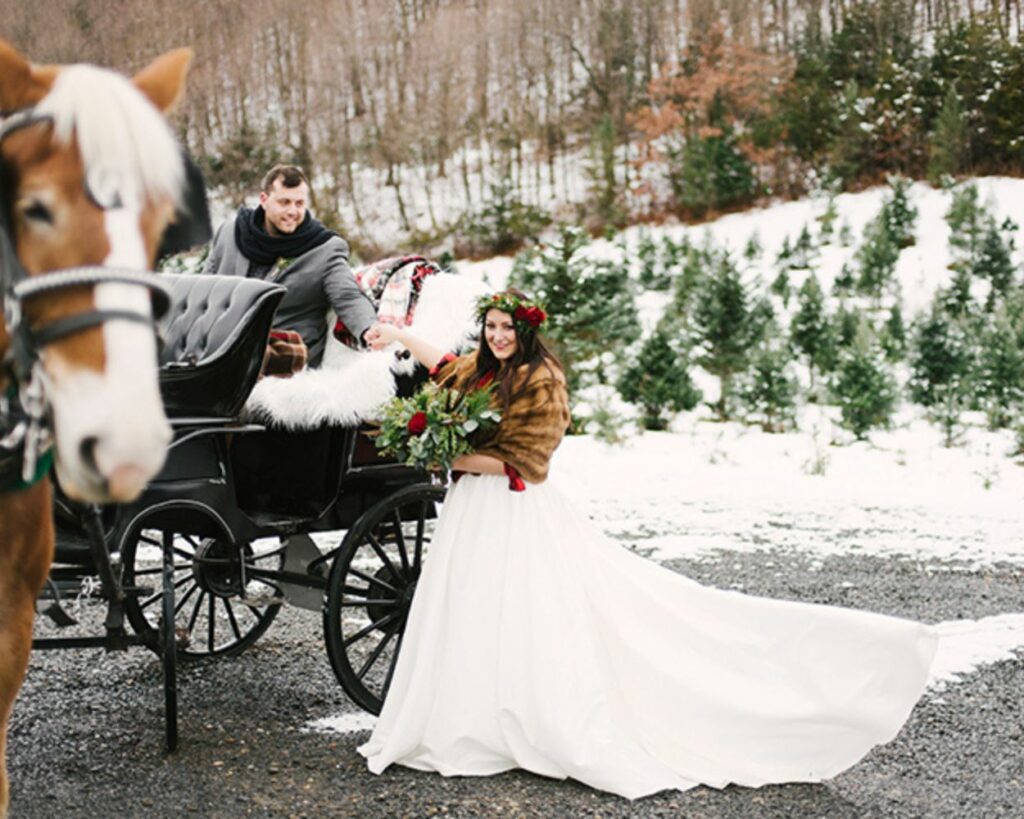 winter carriage Christmas wedding ride set against a backdrop of snow covered trees