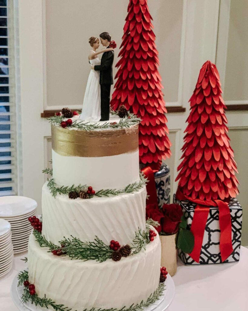 winter theme coconut and strawberry wedding cake